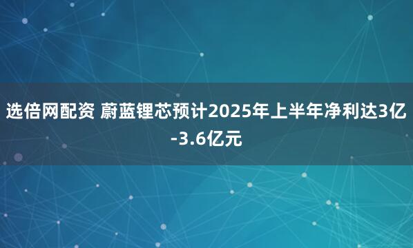 选倍网配资 蔚蓝锂芯预计2025年上半年净利达3亿-3.6亿元